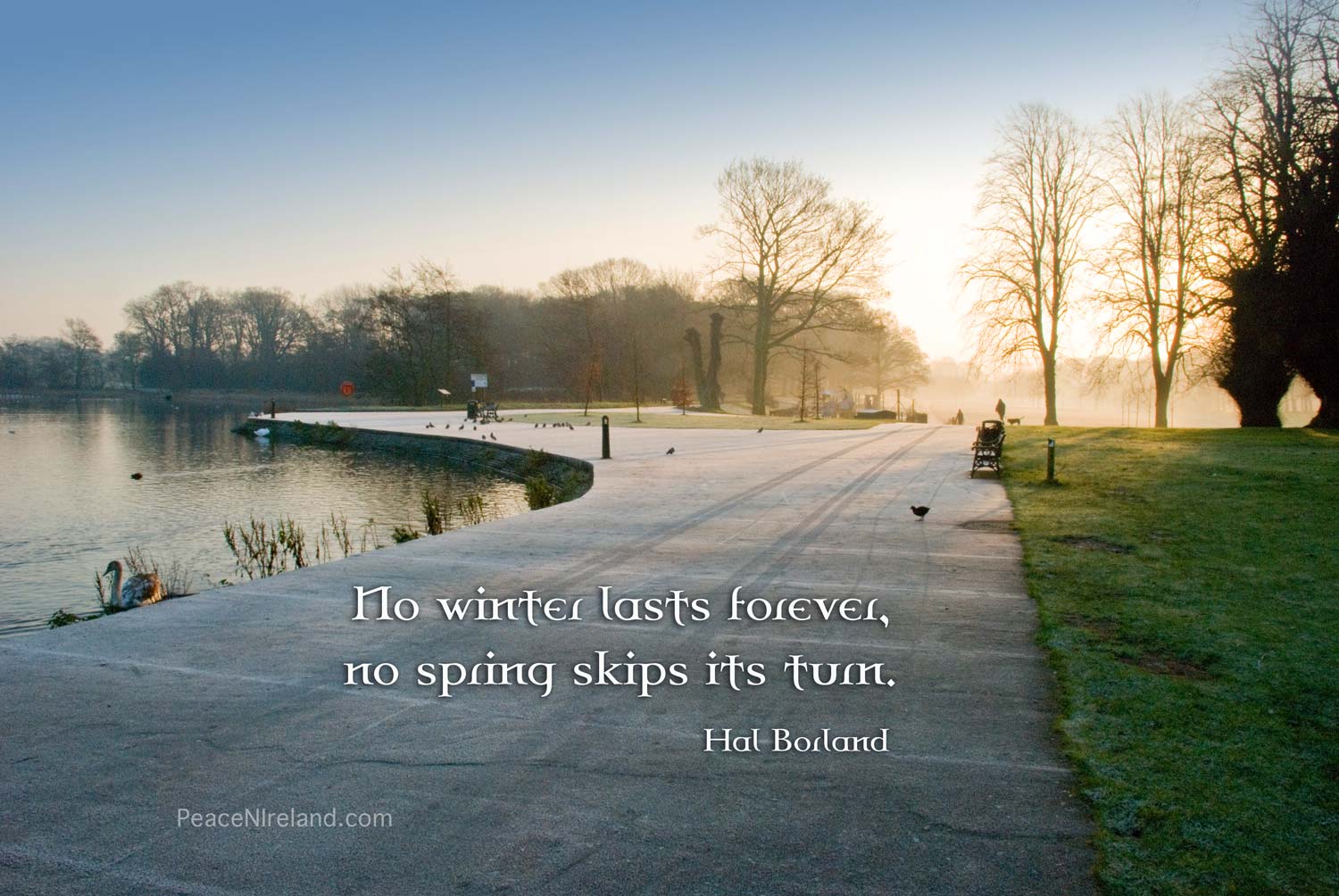 Morning at Lurgan Park and Lake, County Armagh