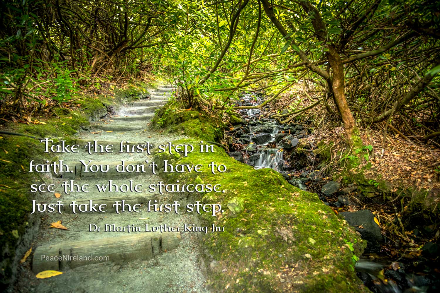 Kilfane Glen, County kilkenny