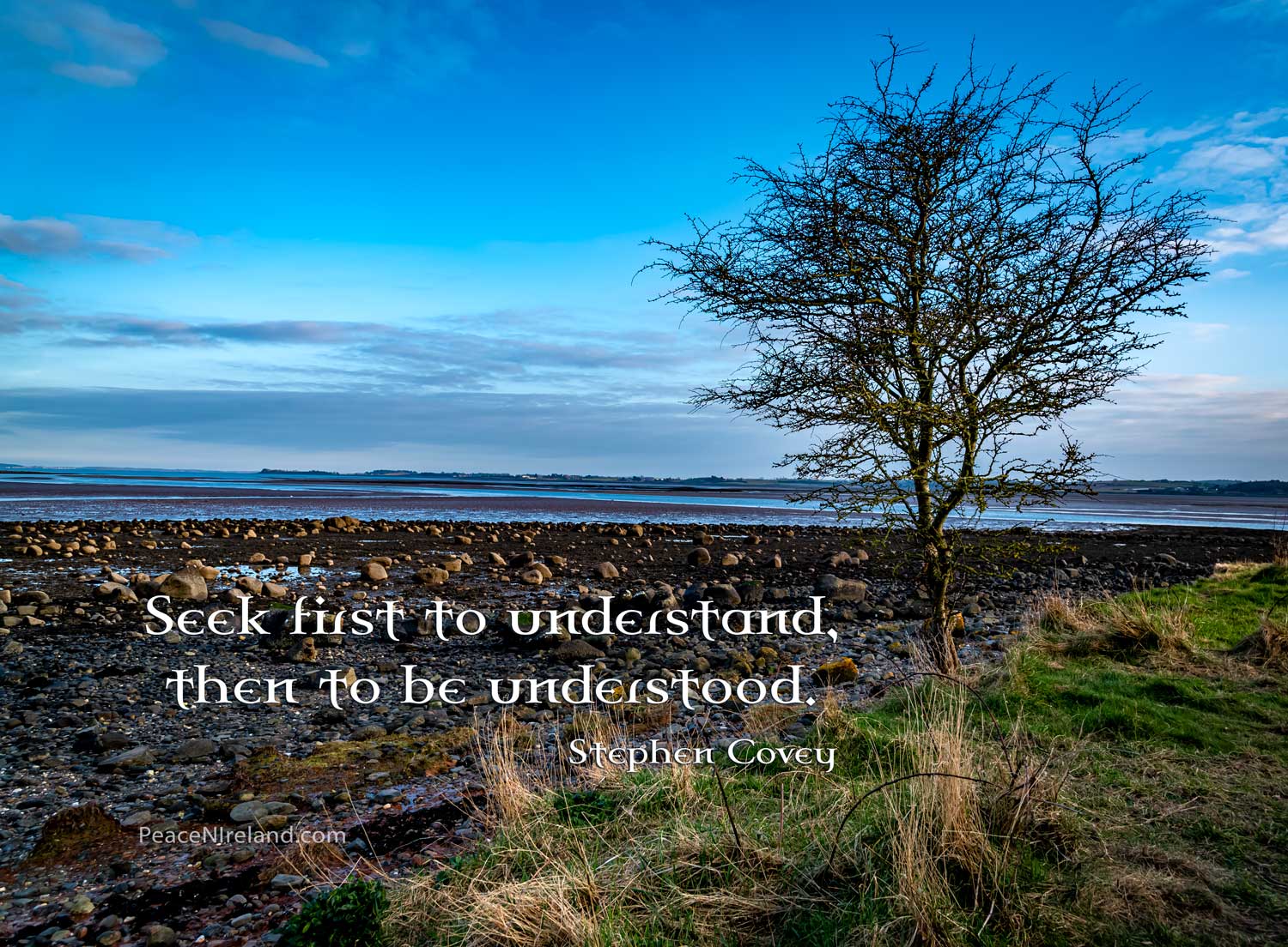 Strangford Lough, County Down