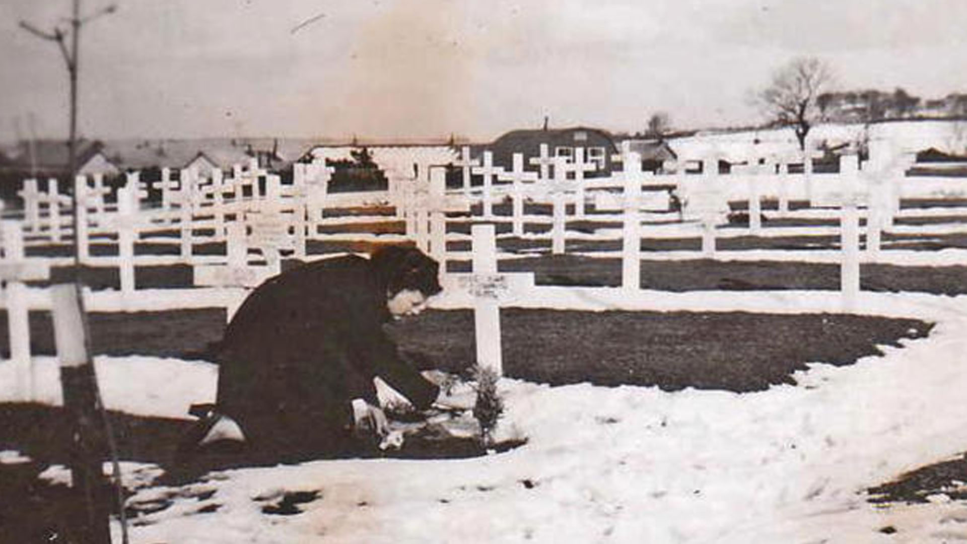 A woman tends the grave of Corporal John "Jack" Gibson who was killed when B17 41-24451 crashed on Slieveanorra on 3rd October 1942. Photo taken at Lisnabreeny American Cemetery, Castlereagh, Belfast and published in Duluth News Tribune. Copyright unknown.